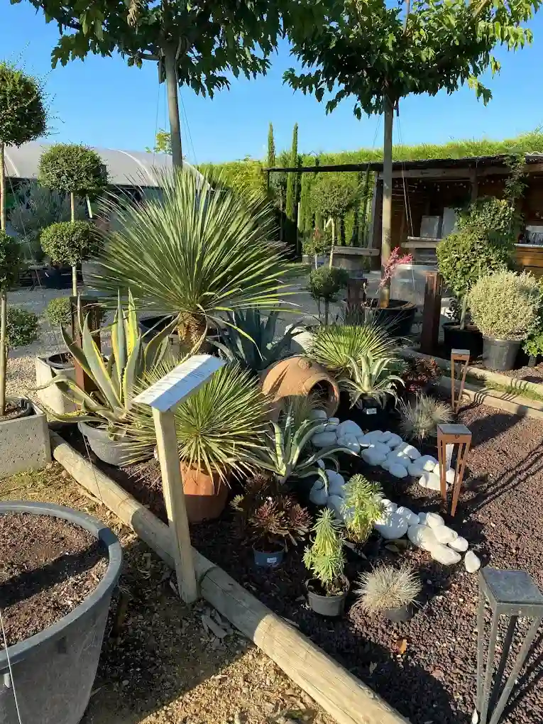 Aménagement des jardins à Puyvert et aux alentours