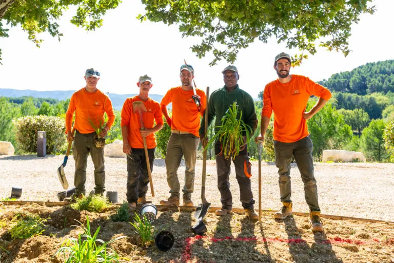 amenagement des jardins luberon