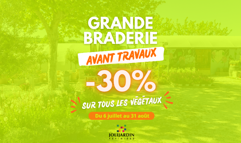 Grande braderie pépinière
