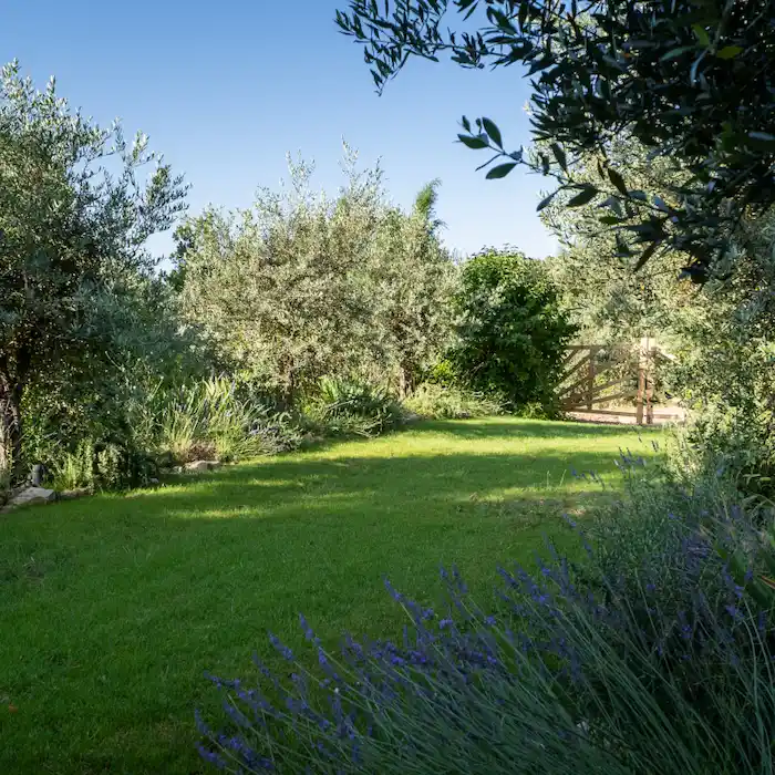 jardin provencal jolijardin