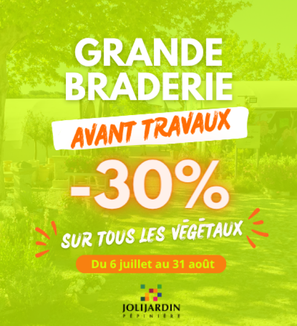 Grande braderie pépinière