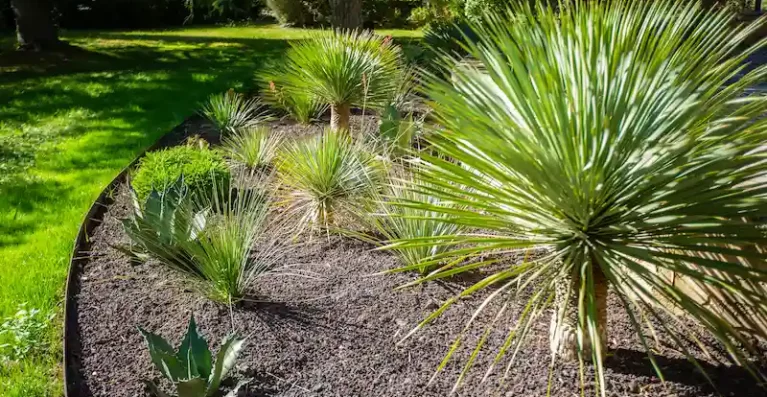 Détail bordure Cucuron
