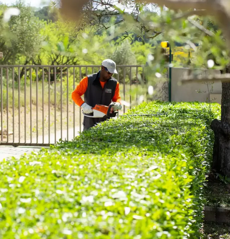 Aménagement des jardins à Puyvert et aux alentours