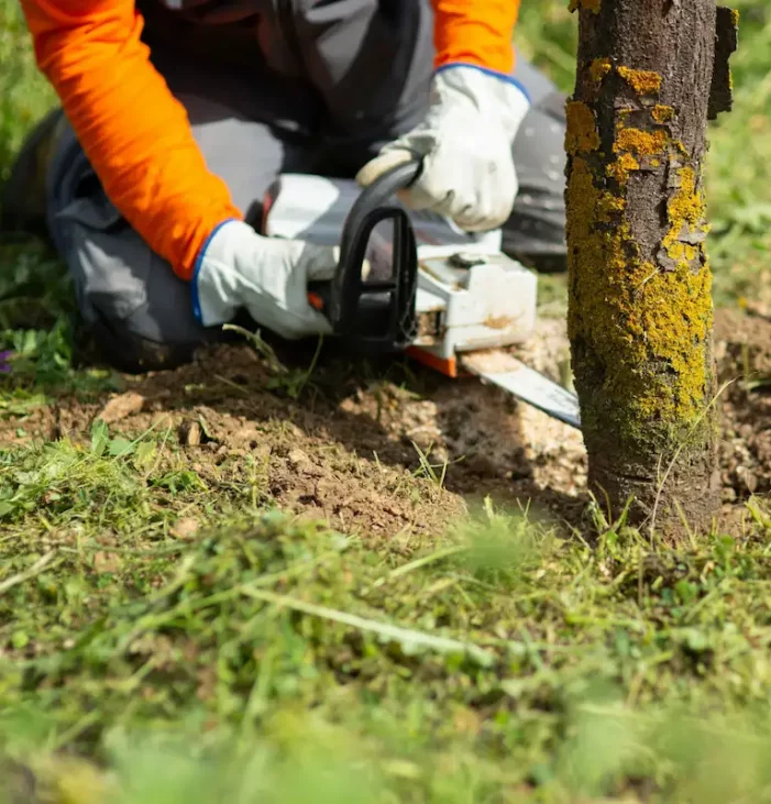 Aménagement des jardins à Puyvert et aux alentours