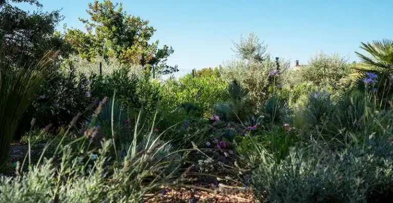 massif-Merindol-Luberon