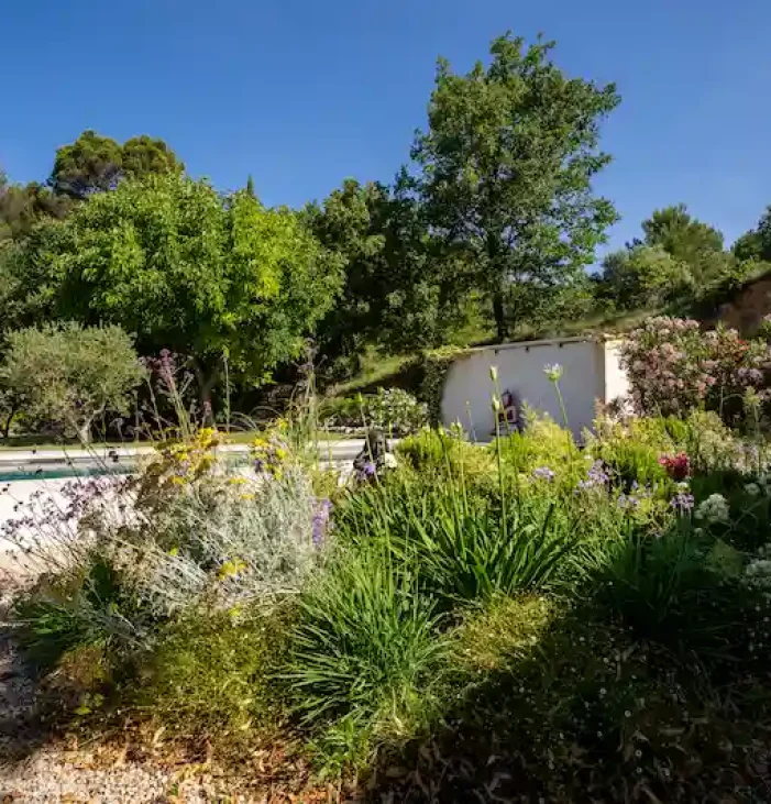 massif-piscine-Cadenet