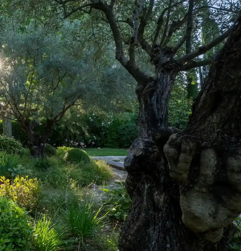 petit jardin Lourmarin