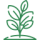 plante