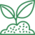 plante